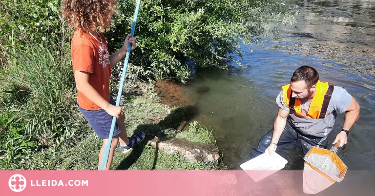 Les Ecoactivitats mostren els insectes aquàtics que habiten el riu Segre al seu pas per Lleida