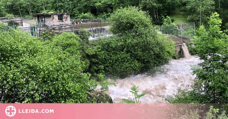 Moren cinc mil truites de la piscifactoria de Tavascan per la crescuda del riu Noguera de Lladorre