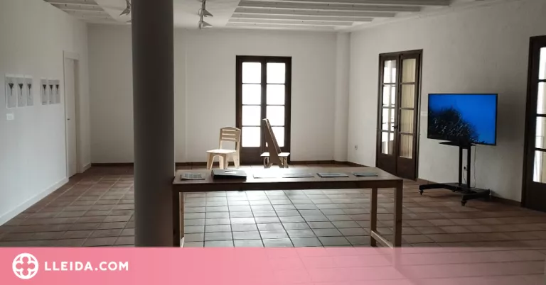 El canvi climàtic, el feminisme i la poesia visual, protagonistes de l'art digital de l'alumnat de la UdL