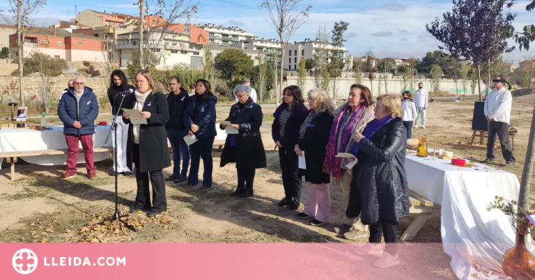 Tàrrega clama contra les violències masclistes