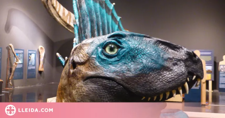 El Museu de Lleida estrena una exposició amb 550 milions d'anys d'història