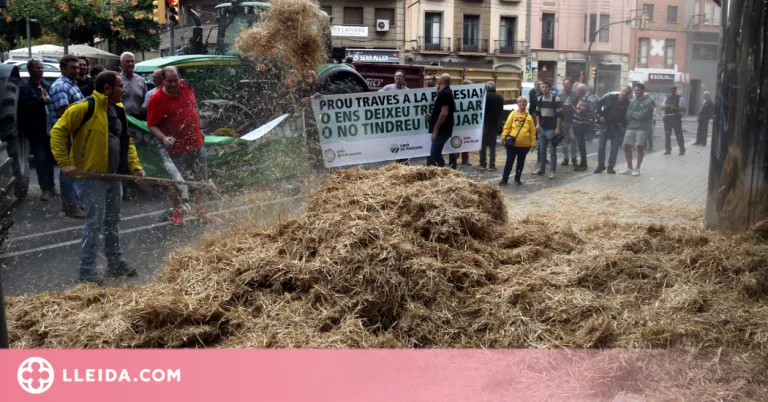 ⏯️ Unió de Pagesos exigeix línies de finançament per al sector agrari