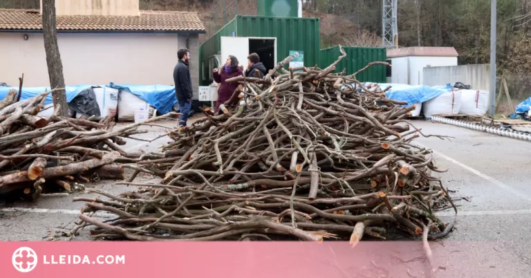 ⏯️ Neix a Solsona una biorefineria mòbil per convertir la biomassa forestal en productes químics