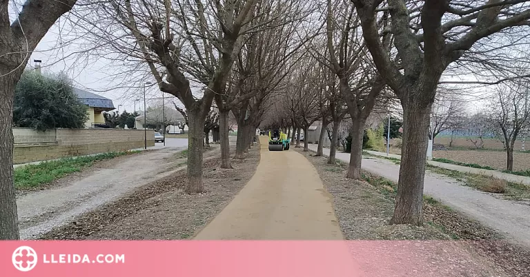 Mollerussa pavimenta amb sauló un tram del camí de la tercera séquia del Canal d'Urgell