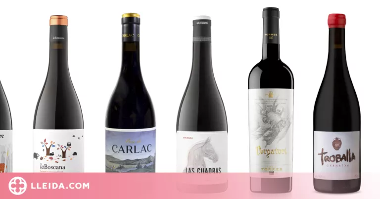 Costers del Segre guanya onze medalles als Decanter