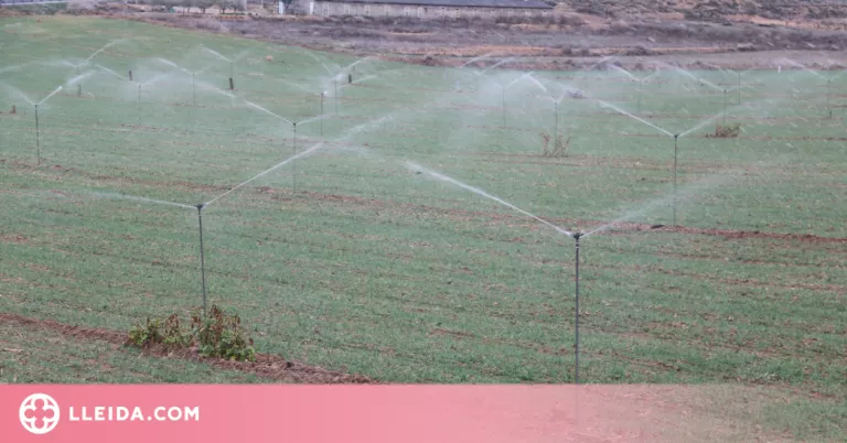 ⏯️ El canal Segarra-Garrigues inicia la campanya de reg "més difícil de la seva història"