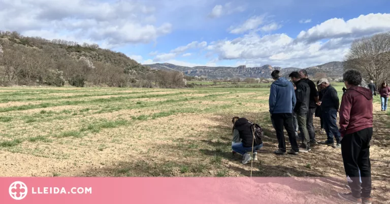⏯️ El Pallars Jussà sensibilitza a pagesos cap a nous cultius rendibles amb el canvi climàtic