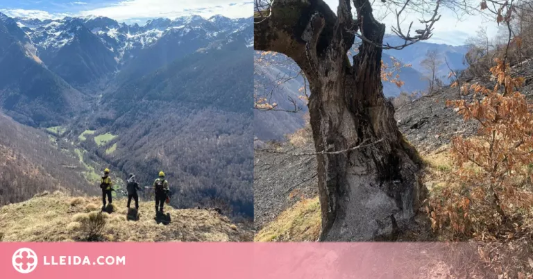 Controlat l'incendi de Canejan, a la Val d'Aran, que ha cremat 335 hectàrees