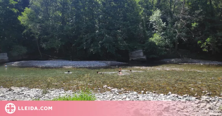 Torna el bany als rius i al pantà de Sant Antoni