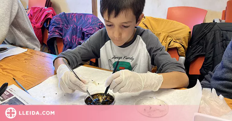 Tallers per a petits naturalistes al Parc de la Mitjana de Lleida