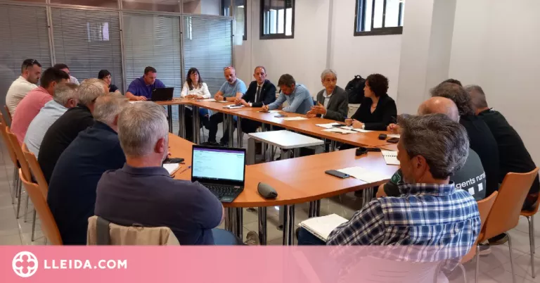 Acció Climàtica activa les mesures implementades per frenar la plaga de conills a la plana de Lleida
