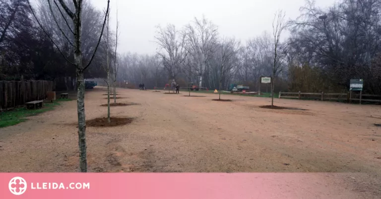 Plantació d’una cinquantena d’arbres per ombrejar l’accés al parc de la Mitjana de Lleida