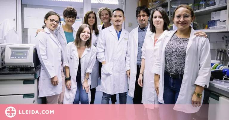 Identifiquen una nova diana terapèutica contra el càncer de pulmó més freqüent