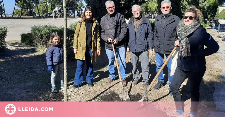 Tàrrega recupera la Festa de l’Arbre