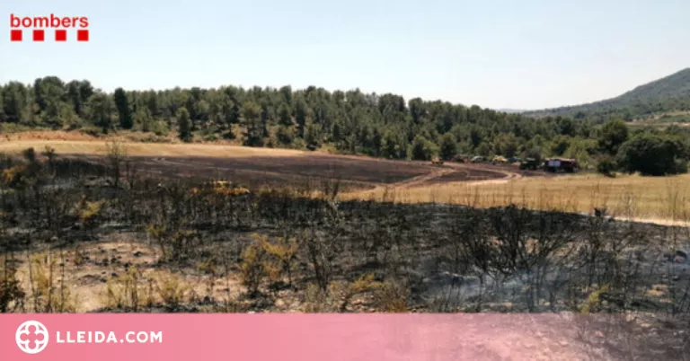 Un incendi crema 2,5 hectàrees agrícoles a Sant Jaume dels Domenys