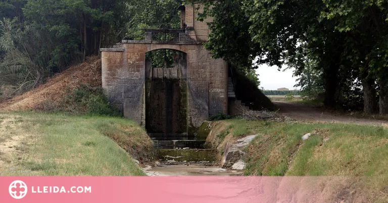 Vistiplau a un reg de supervivència al canal d'Urgell i al Segarra Garrigues al juny