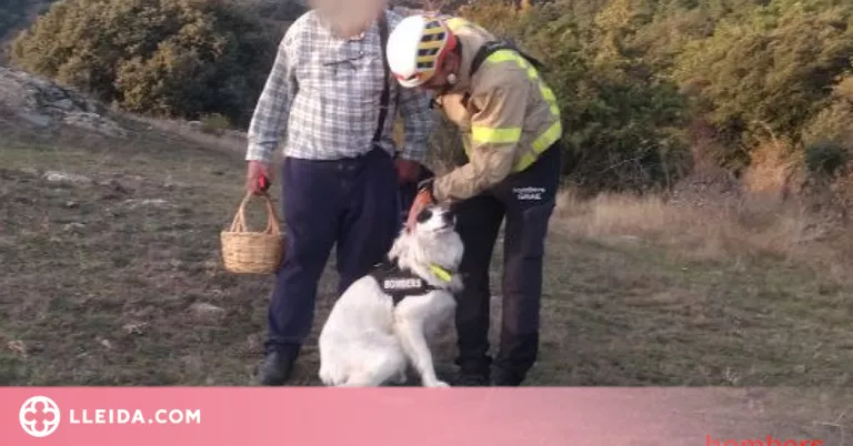 Un gos dels Bombers troba un home que s'havia perdut a l'Alt Urgell