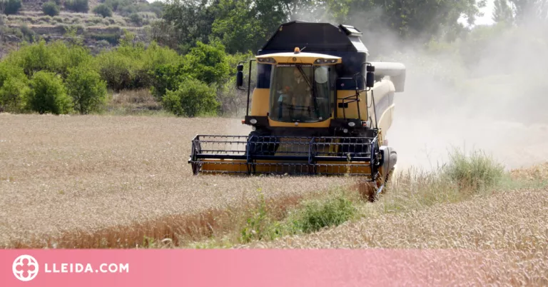 El preu dels aliments toca màxims històrics per la guerra a Ucraïna