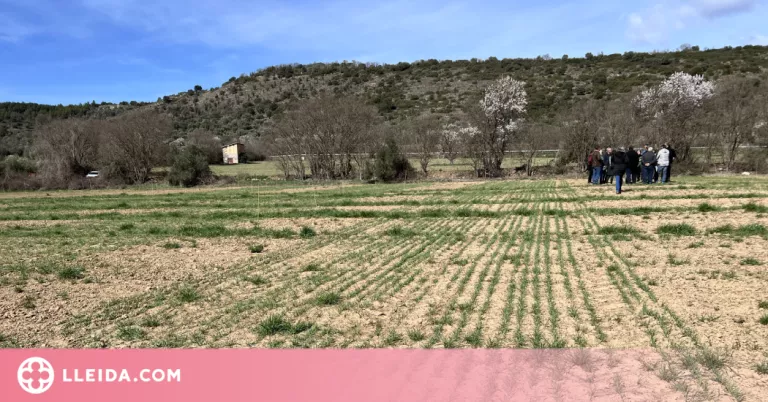 Llum verda a l'estratègia per garantir el relleu generacional al sector agrari