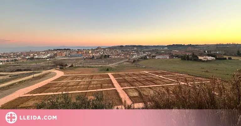 En marxa les primeres llicències d'explotació dels 56 horts urbans d'Almacelles