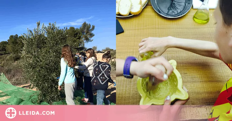 El Centre de l'oli de la Granadella presenta els tallers educatius "Experimenta la cultura de l'oli"