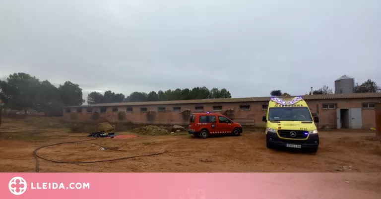 Evacuen un treballador d'una granja incendiada de Torrefarrera on han mort 10 garrins