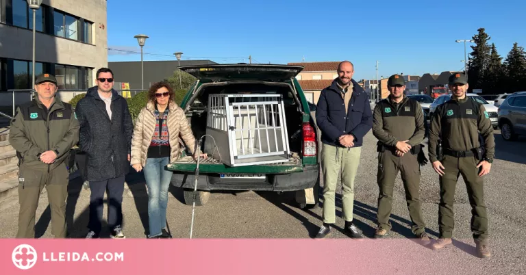 El Consell Comarcal de les Garrigues cedeix una gàbia transportí al Cos d'Agents Rurals pel trasllat de gossos del carrer