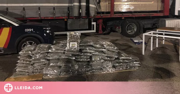 Presó per transportar més de vuitanta quilos de marihuana amagats al doble fons d'un contenidor