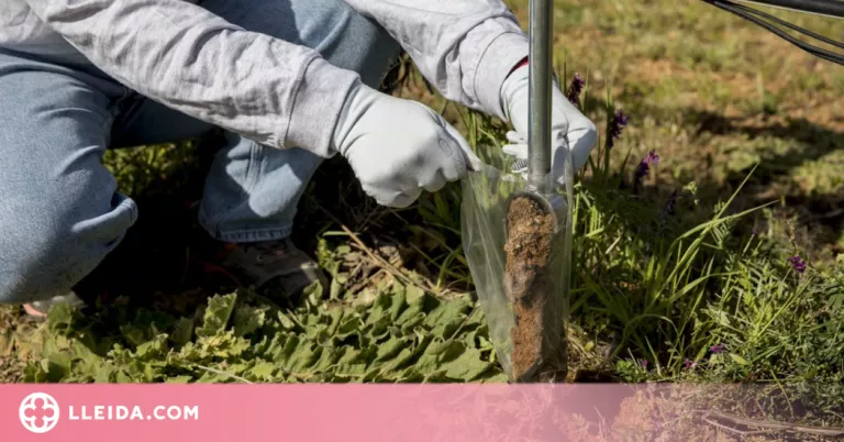 Dos projectes de recerca estudien com millorar els sòls agrícoles catalans