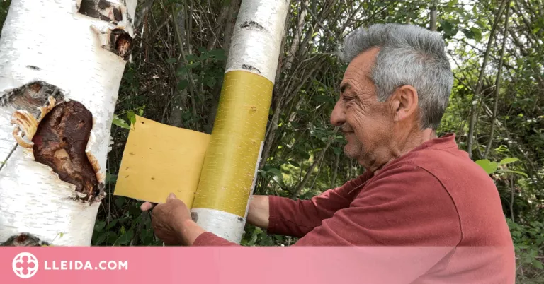 ⏯️ El Pallars Sobirà manté viva l'elaboració de besulles, un got del món pastoral en perill d'extinció