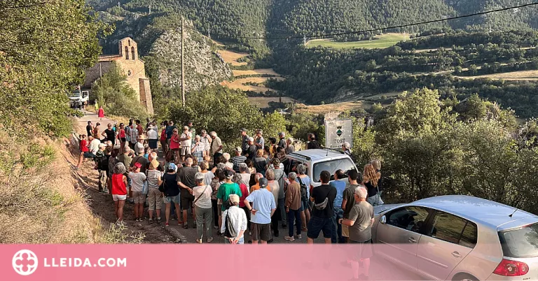 ⏯️ La gestió forestal i els projectes cooperatius, oportunitats per repoblar el Pirineu