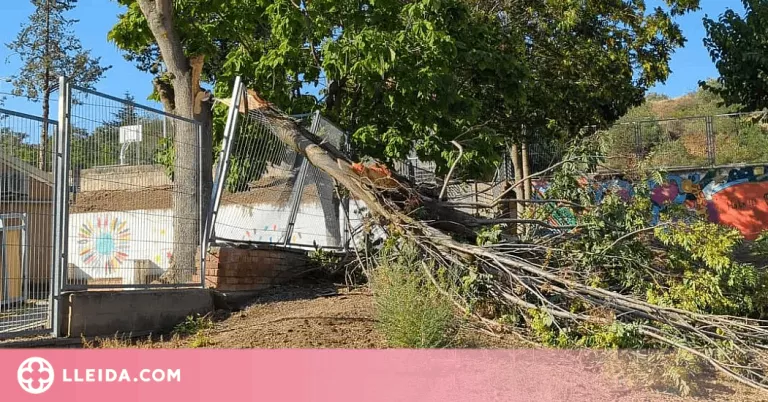 Una tempesta a Ponts causa desperfectes a la majoria dels carrers del poble