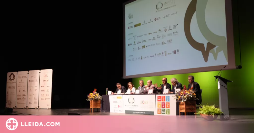 La Llotja, espai de debat i coneixement sobre les ciències forestals