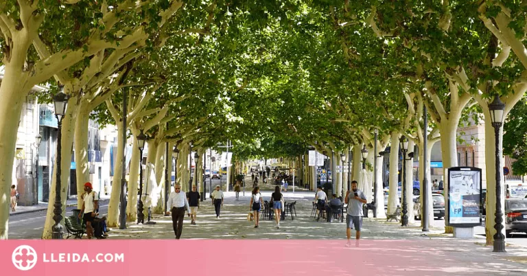 Quasi un milió d'euros per al projecte 'Compra a Lleida' de la Paeria