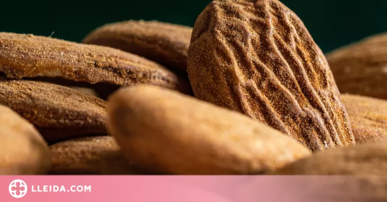 Comença la collita de l'ametlla en una campanya amb menys producció per les gelades