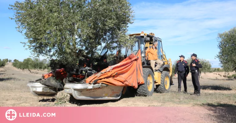 ⏯️ Intervenen 108 litres d'oli d'oliva sense etiqueta valorats en mil euros en un establiment de Mollerussa