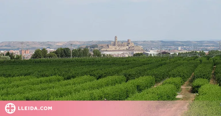La Paeria demana ajuda als veïns i veïnes en el manteniment de les finques de l'Horta de Lleida