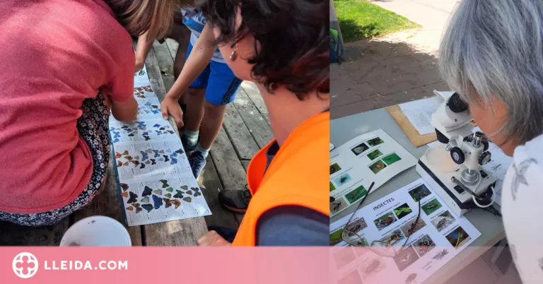 Les Ecoactivitats descobreixen els invertebrats i artròpodes que viuen a la ciutat de Lleida
