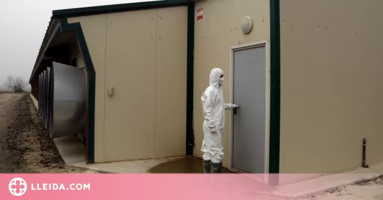⏯️ Inspeccionen les granges situades a la zona de vigilància pel cas de grip aviària d'Arbeca