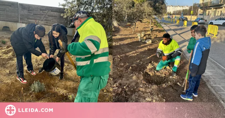 L'alumnat de Balaguer du a terme un any més la campanya de plantada d'arbres