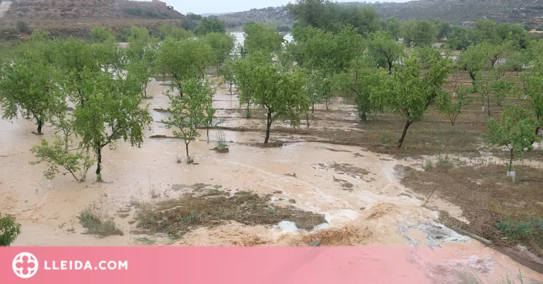 La tempesta de diumenge va descarregar pedra en unes 143 hectàrees del Segrià