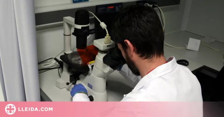 Confirmats 662 casos de verola del mico a Catalunya