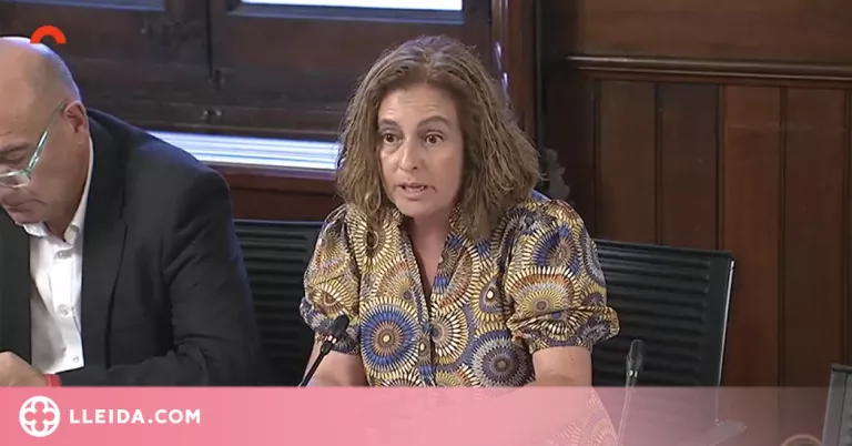 Aprovada la proposta de creació de la Regió d’Emergències del Pirineu Occidental