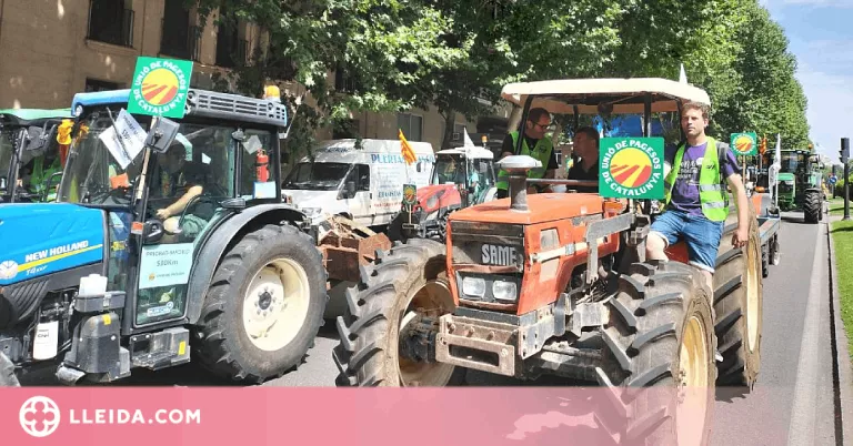 La #MarxaPagesaSequera arriba a Madrid per reclamar mesures al Ministeri d'Agricultura