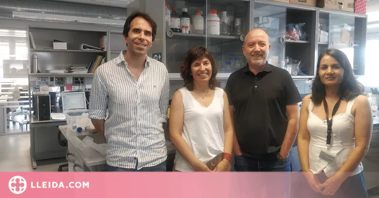 Demostren que l'estrès oxidatiu en la progressió de l'Alzheimer afecta només cel·lularment