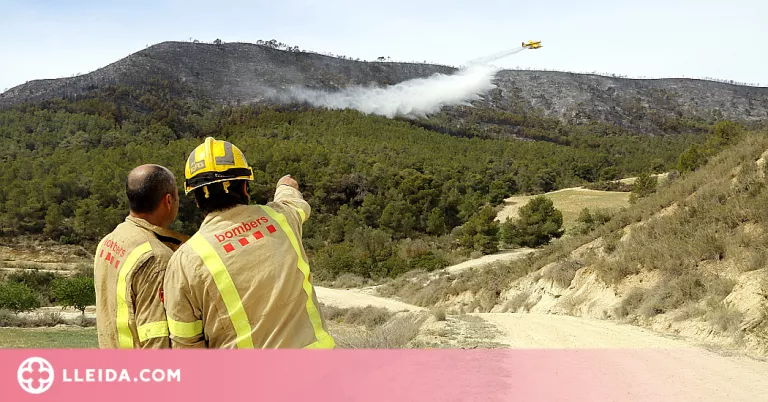 Els Agents Rurals xifren en 453 les hectàrees cremades per l'incendi de la Franja