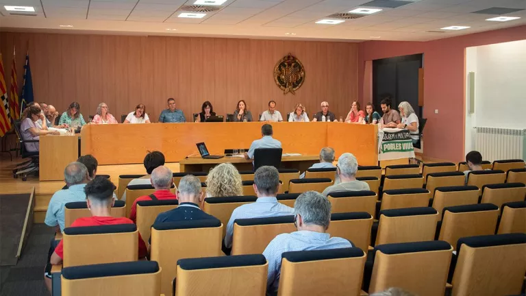 Junts i la CUP pacten un recàrrec de l’IBI a Tàrrega per a habitatges buits