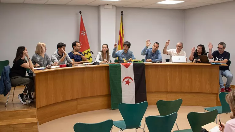 El Palau d’Anglesola aprova una moratòria per evitar la implantació de macroplantes de biogàs