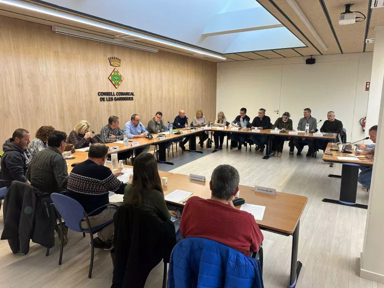 El Consell Comarcal de les Garrigues rebutja la consulta sobre la incineradora de Juneda