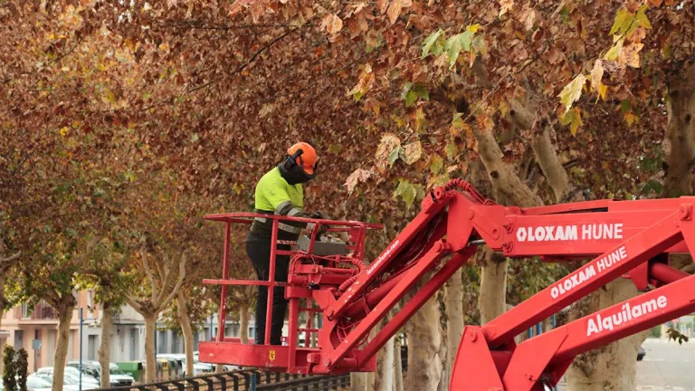 Mollerussa començarà a esporgar dimecres amb el focus posat en l’avinguda del Canal